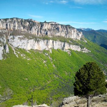 A Archiane, les chamois étaient de sortie